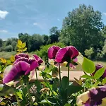 R3 - Quinta Dos Choupos Villa