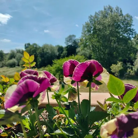Quinta Dos Choupos فيلة