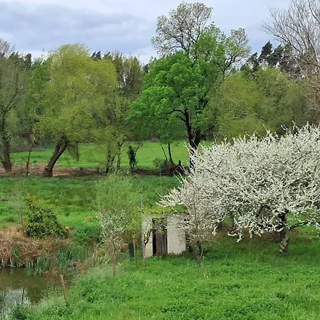 Villa Quinta Dos Choupos *
