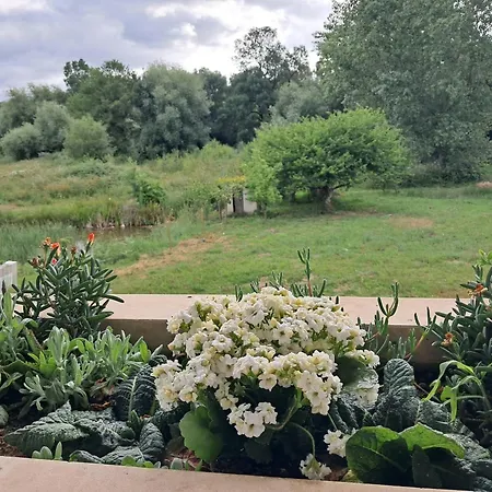 Villa Quinta Dos Choupos Coimbra