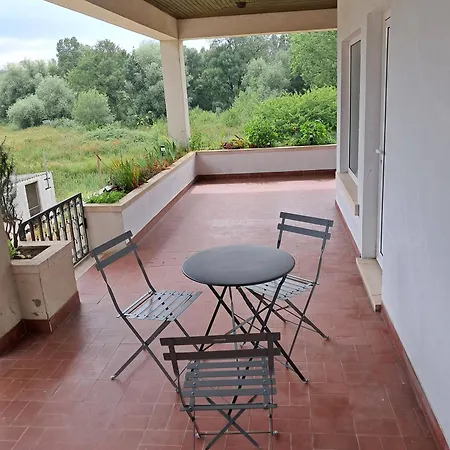 Villa Quinta Dos Choupos *