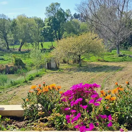 Villa Quinta Dos Choupos *