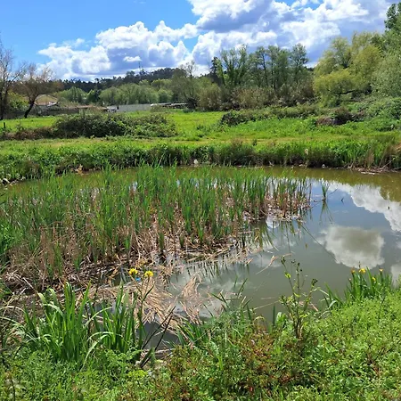 Quinta Dos Choupos Villa Coimbra